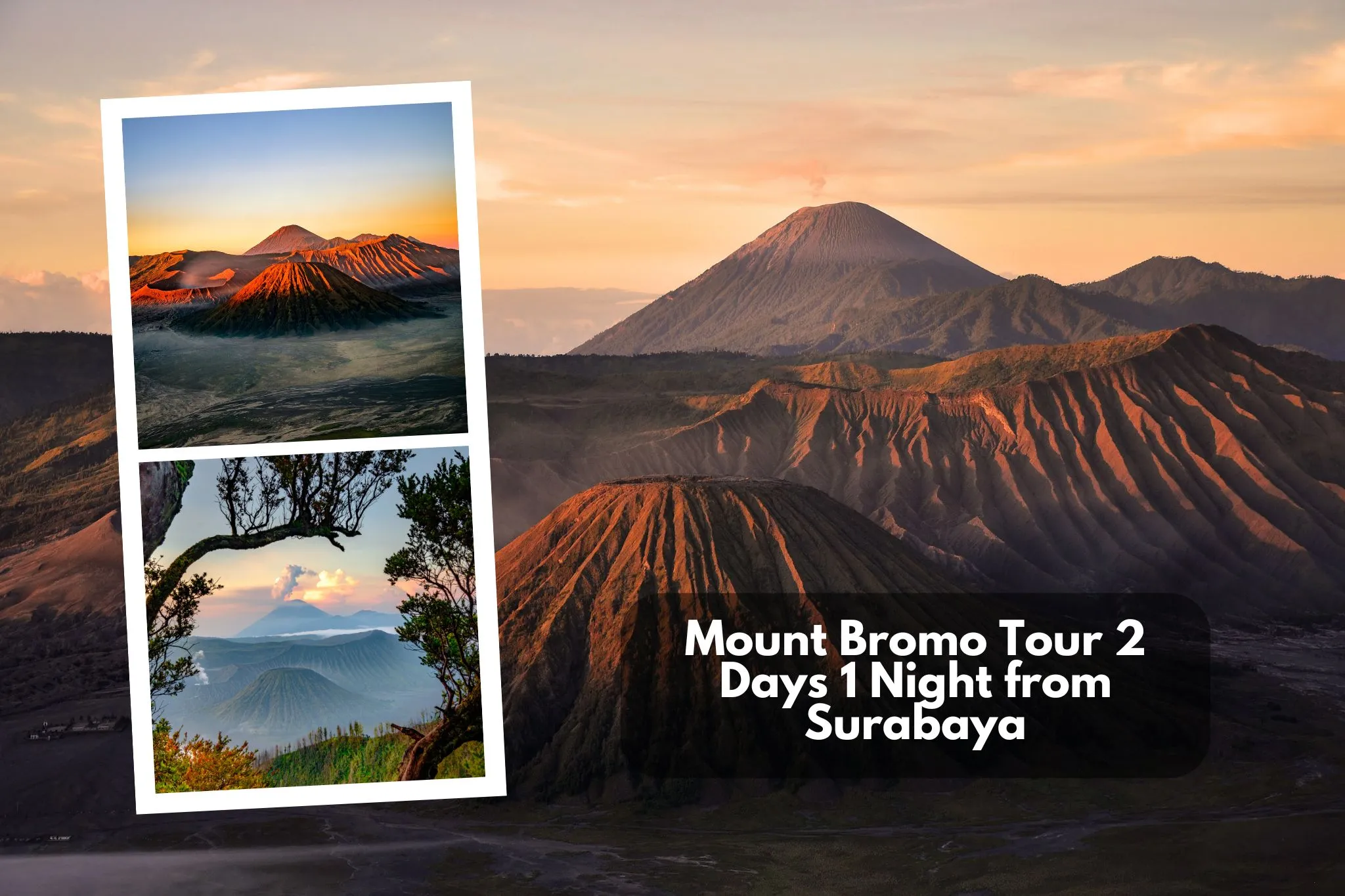 Mount Bromo Tour 2 Days 1 Night from Surabaya