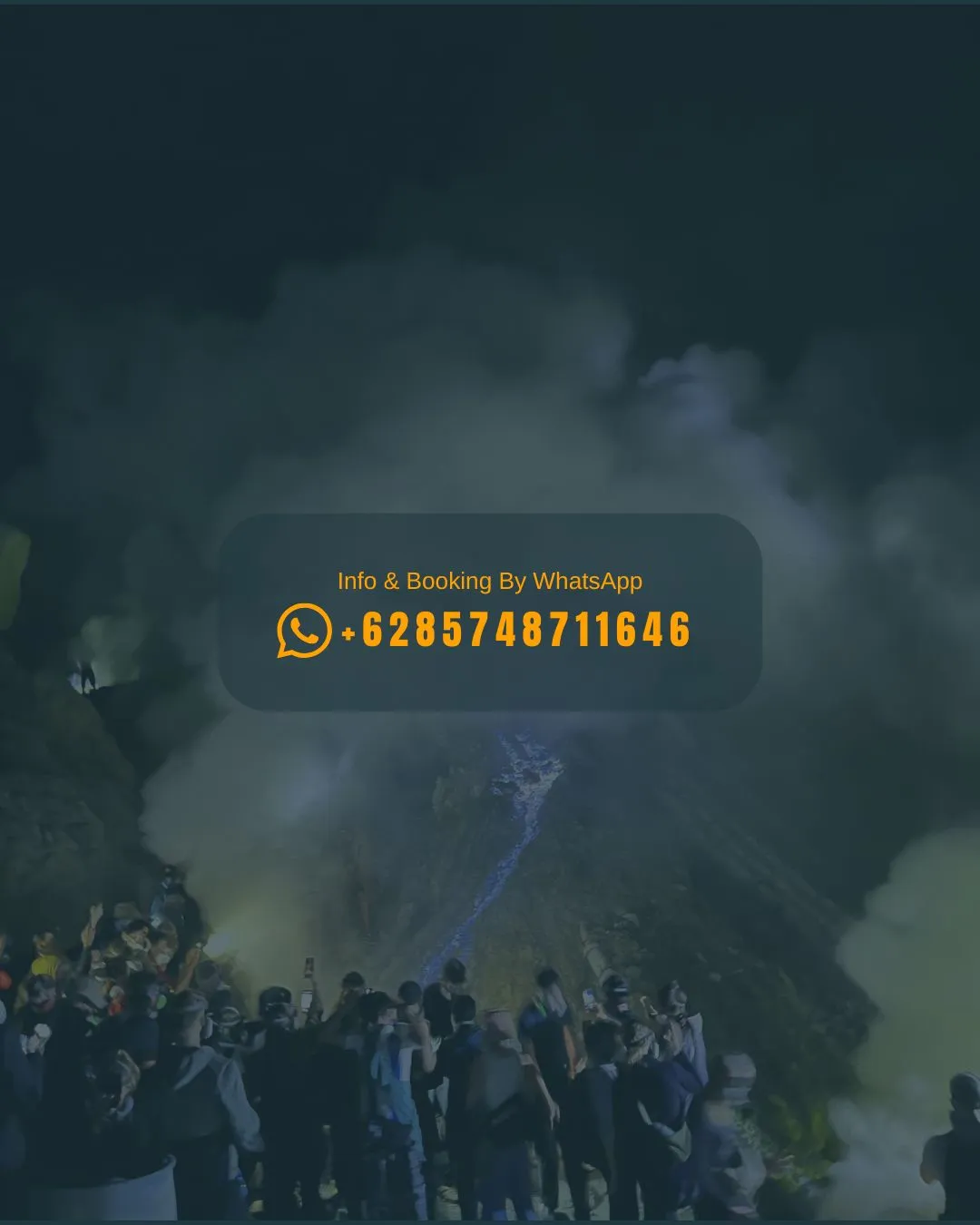 CONTACT US